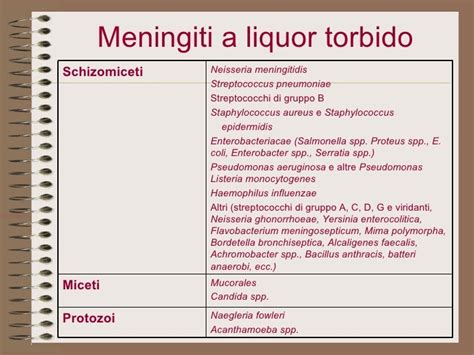 meningite batterica liquor